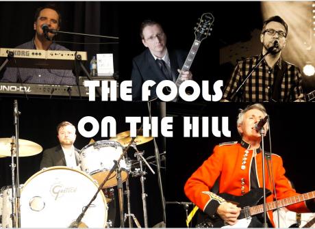 Fools on the Hill
