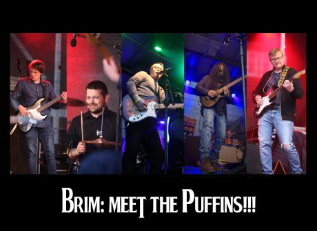 Brim: Meet the Puffins